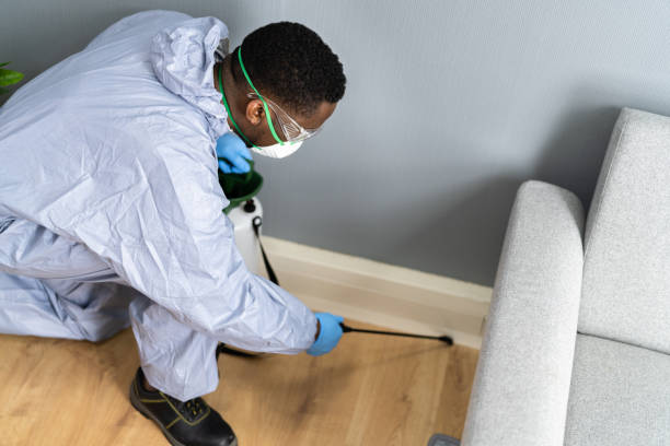 Real Estate Pest Inspections in Des Moines, WA